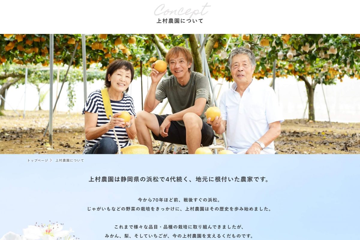 上村農園　静岡県浜松市のいちご・梨・みかんを直売のPCデザイン画像