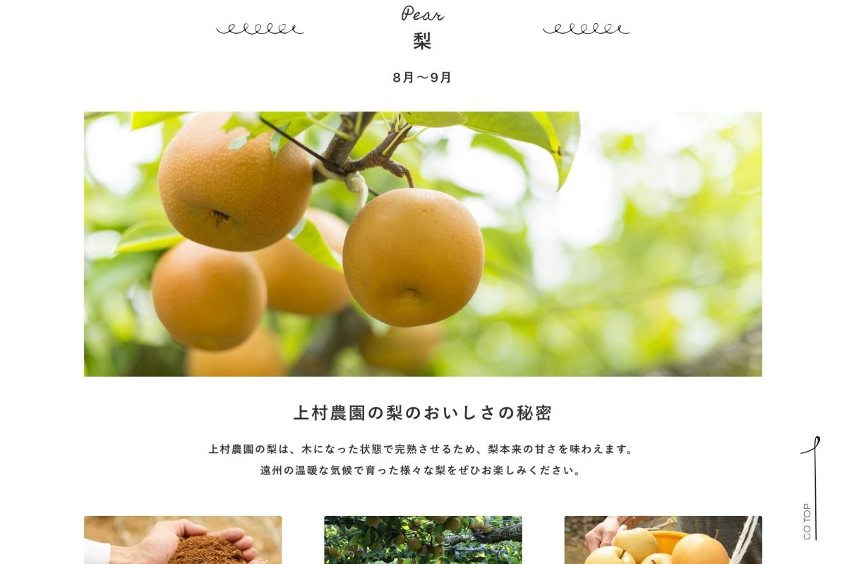 上村農園 静岡県浜松市のいちご・梨・みかんを直売のPCデザイン画像