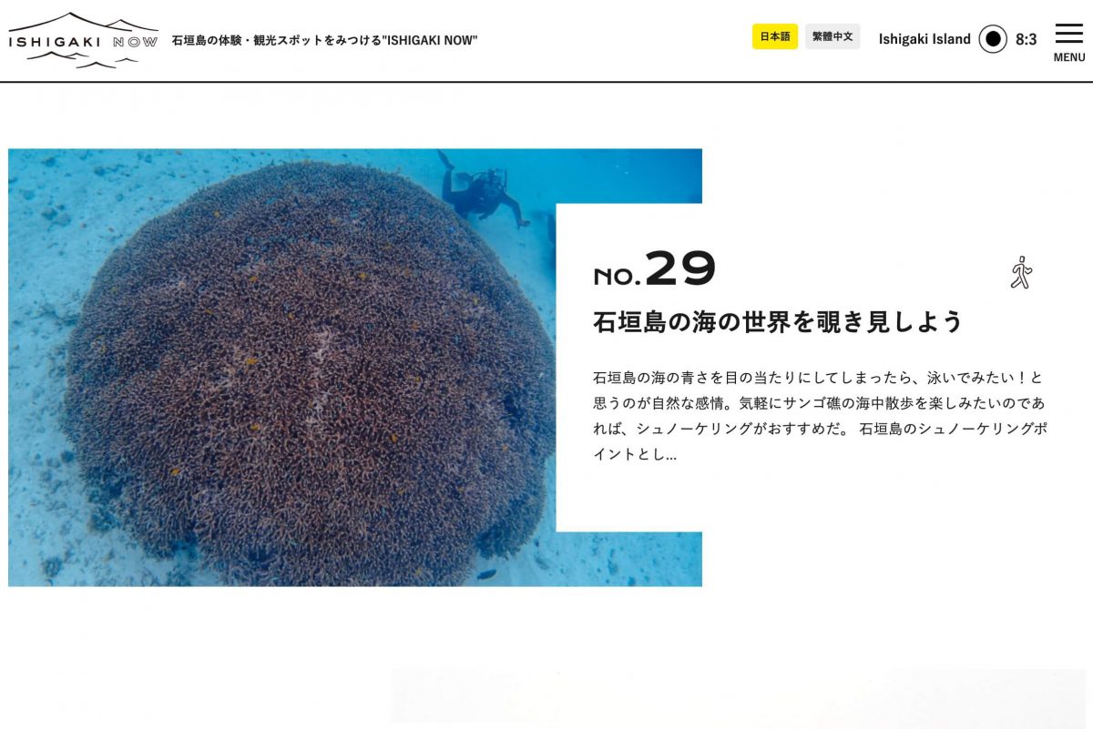 ISHIGAKI NOW　石垣島らしさを感じる体験・観光スポット情報のPCデザイン画像