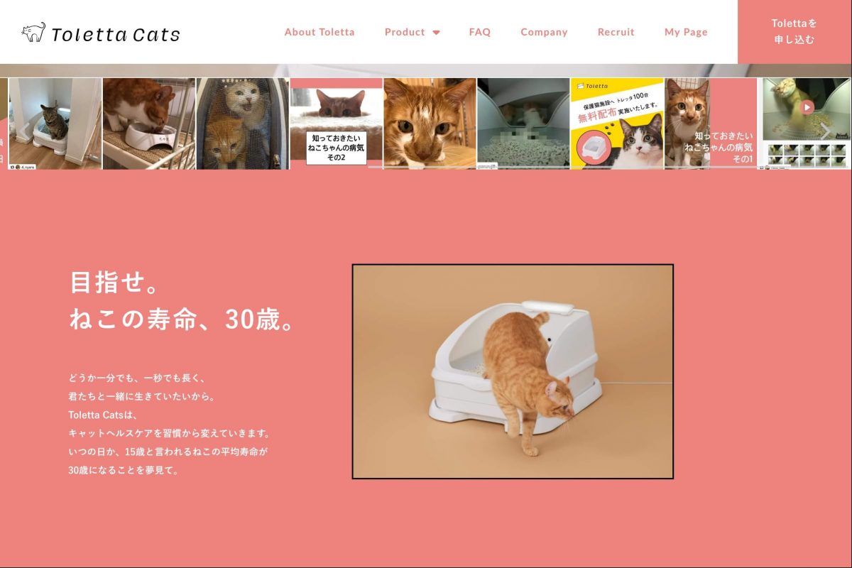 Toletta Cats [トレッタキャッツ]のPCデザイン画像