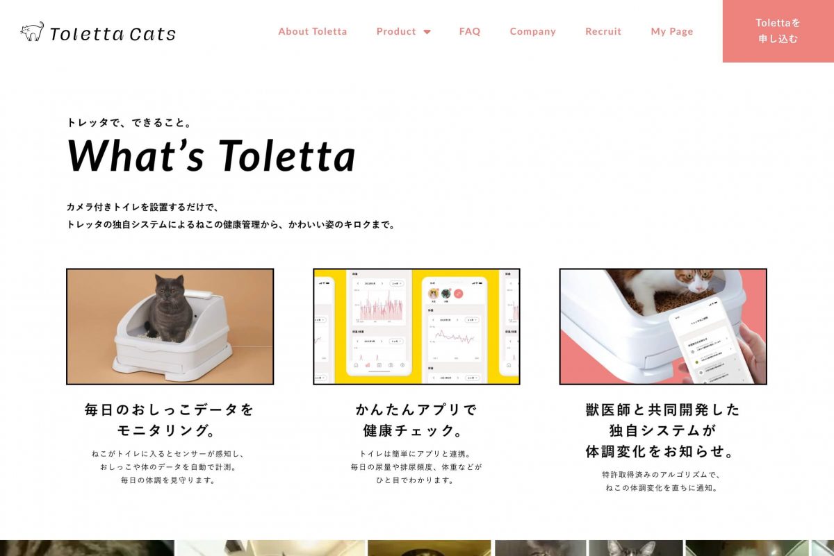 Toletta Cats [トレッタキャッツ]のPCデザイン画像