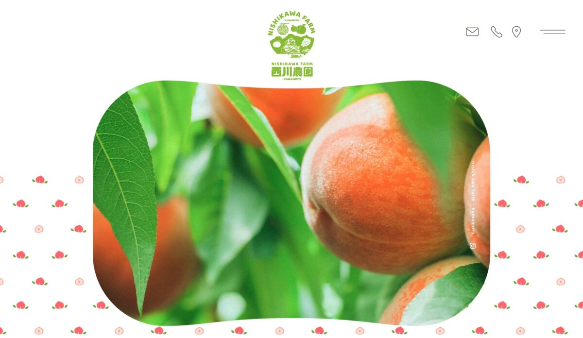 熊本の桃狩り体験 西川農園のデザイン画像