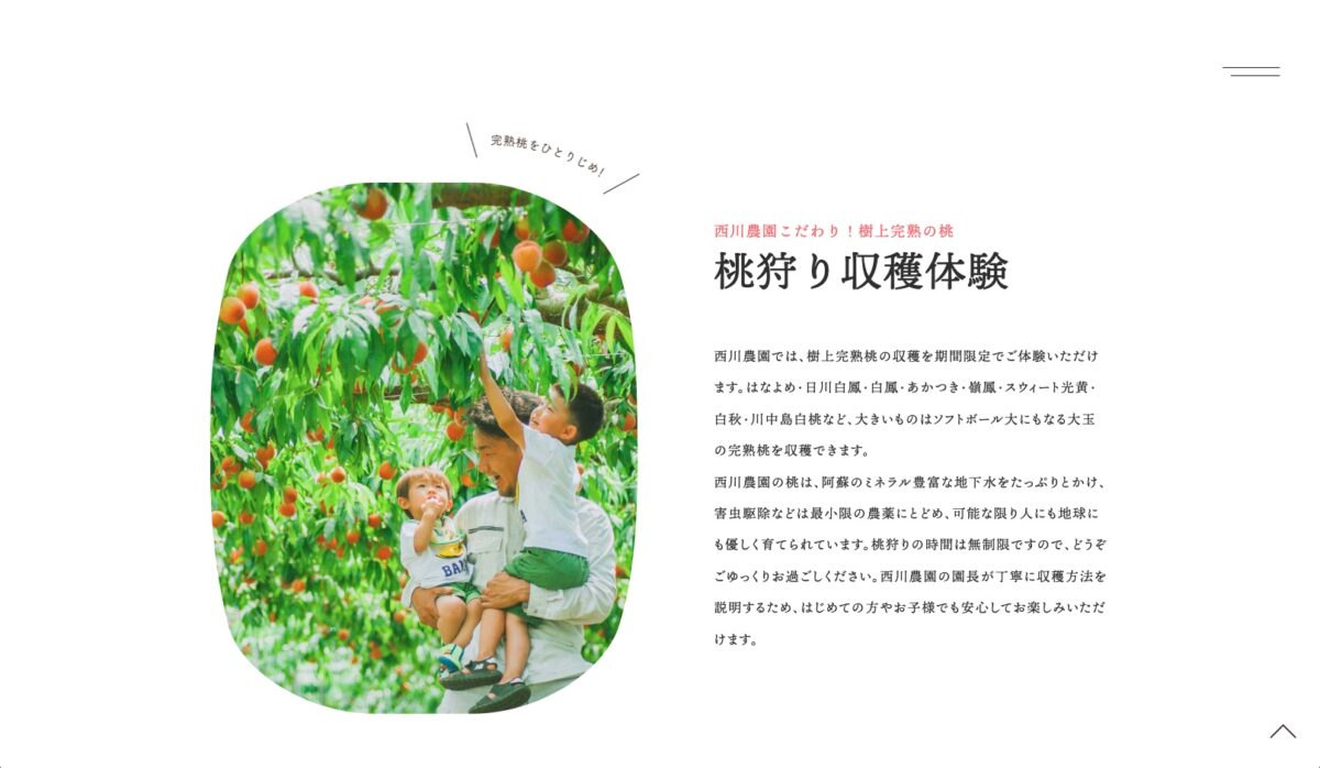 熊本の桃狩り体験 西川農園のPCデザイン画像